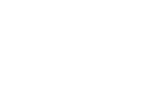 grundriss_weiss